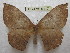  ( - BC-EvS 0117)  @13 [ ] Copyright (2010) Unspecified Research Collection of Eric Van Schayck
