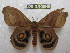  ( - BC-EvS 0145)  @13 [ ] Copyright (2010) Unspecified Research Collection of Eric Van Schayck