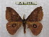  ( - BC-EvS 0168)  @13 [ ] Copyright (2010) Unspecified Research Collection of Eric Van Schayck