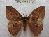  ( - BC-EvS 0172)  @13 [ ] Copyright (2010) Unspecified Research Collection of Eric Van Schayck