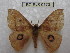  ( - BC-EvS 0173)  @13 [ ] Copyright (2010) Unspecified Research Collection of Eric Van Schayck