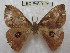  ( - BC-EvS 0175)  @12 [ ] Copyright (2010) Unspecified Research Collection of Eric Van Schayck