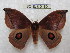  ( - BC-EvS 0180)  @15 [ ] Copyright (2010) Unspecified Research Collection of Eric Van Schayck