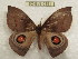  ( - BC-EvS 0191)  @11 [ ] Copyright (2010) Unspecified Research Collection of Eric Van Schayck