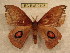  ( - BC-EvS 0195)  @12 [ ] Copyright (2010) Unspecified Research Collection of Eric Van Schayck