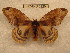  ( - BC-EvS 0220)  @11 [ ] Copyright (2010) Unspecified Research Collection of Eric Van Schayck