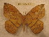  ( - BC-EvS 0242)  @13 [ ] Copyright (2010) Unspecified Research Collection of Eric Van Schayck
