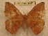  ( - BC-EvS 0247)  @13 [ ] Copyright (2010) Unspecified Research Collection of Eric Van Schayck