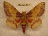  ( - BC-EvS 0251)  @15 [ ] Copyright (2010) Unspecified Research Collection of Eric Van Schayck