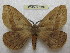  ( - BC-EvS 0262)  @13 [ ] Copyright (2010) Unspecified Research Collection of Eric Van Schayck