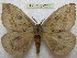  ( - BC-EvS 0263)  @13 [ ] Copyright (2010) Unspecified Research Collection of Eric Van Schayck