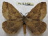  ( - BC-EvS 0264)  @13 [ ] Copyright (2010) Unspecified Research Collection of Eric Van Schayck