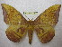  ( - BC-EvS 0391)  @13 [ ] Copyright (2010) Unspecified Research Collection of Eric Van Schayck