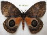  ( - BC-EvS 0399)  @14 [ ] Copyright (2010) Unspecified Research Collection of Eric Van Schayck