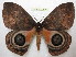  ( - BC-EvS 0400)  @14 [ ] Copyright (2010) Unspecified Research Collection of Eric Van Schayck