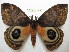 ( - BC-EvS 0401)  @14 [ ] Copyright (2010) Unspecified Research Collection of Eric Van Schayck