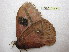  ( - BC-EvS 0402)  @12 [ ] Copyright (2010) Unspecified Research Collection of Eric Van Schayck