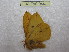  ( - BC-EvS 0447)  @12 [ ] Copyright (2010) Unspecified Research Collection of Eric Van Schayck
