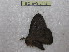  ( - BC-EvS 0448)  @13 [ ] Copyright (2010) Unspecified Research Collection of Eric Van Schayck