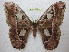  ( - BC-EvS 0461)  @13 [ ] Copyright (2010) Unspecified Research Collection of Eric Van Schayck