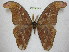  ( - BC-EvS 0568)  @11 [ ] Copyright (2010) Eric Van Schayck Unspecified