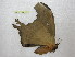  ( - BC-EvS 0572)  @13 [ ] Copyright (2010) Eric Van Schayck Unspecified