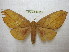 ( - BC-EvS 0652)  @11 [ ] Copyright (2010) Eric Van Schayck Unspecified