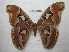  ( - BC-EvS 0813)  @14 [ ] Copyright (2010) Eric Van Schayck Unspecified
