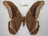  ( - BC-EvS 0836)  @13 [ ] Copyright (2010) Eric Van Schayck Unspecified