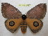  ( - BC-EvS 0999)  @11 [ ] Copyright (2010) Eric Van Schayck Unspecified