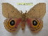  ( - BC-EvS 1008)  @11 [ ] Copyright (2010) Eric Van Schayck Unspecified