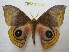  ( - BC-EvS 1010)  @11 [ ] Copyright (2010) Eric Van Schayck Unspecified
