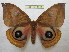  ( - BC-EvS 1011)  @11 [ ] Copyright (2010) Eric Van Schayck Unspecified