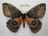  ( - BC-EvS 1067)  @14 [ ] Copyright (2010) Eric Van Schayck Unspecified