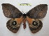 ( - BC-EvS 1072)  @15 [ ] Copyright (2010) Eric Van Schayck Unspecified