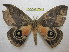  ( - BC-EvS 1088)  @11 [ ] Copyright (2010) Eric Van Schayck Unspecified