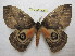  ( - BC-EvS 1090)  @13 [ ] Copyright (2010) Eric Van Schayck Unspecified