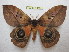  ( - BC-EvS 1092)  @11 [ ] Copyright (2010) Eric Van Schayck Unspecified