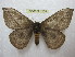  ( - BC-EvS 1268)  @11 [ ] Copyright (2010) Eric Van Schayck Research Collection of Eric Van Schayck