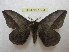  ( - BC-EvS 1304)  @11 [ ] Copyright (2010) Eric Van Schayck Research Collection of Eric Van Schayck