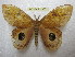  ( - BC-EvS 1387)  @14 [ ] Copyright (2010) Eric Van Schayck Research Collection of Eric Van Schayck