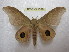  ( - BC-EvS 1398)  @13 [ ] Copyright (2010) Eric Van Schayck Research Collection of Eric Van Schayck