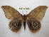  ( - BC-EvS 1402)  @13 [ ] Copyright (2010) Eric Van Schayck Research Collection of Eric Van Schayck
