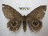  ( - BC-EvS 1404)  @11 [ ] Copyright (2010) Eric Van Schayck Research Collection of Eric Van Schayck