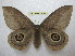  ( - BC-EvS 1405)  @11 [ ] Copyright (2010) Eric Van Schayck Research Collection of Eric Van Schayck