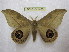  ( - BC-EvS 1406)  @14 [ ] Copyright (2010) Eric Van Schayck Research Collection of Eric Van Schayck