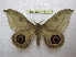  ( - BC-EvS 1407)  @14 [ ] Copyright (2010) Eric Van Schayck Research Collection of Eric Van Schayck