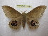  ( - BC-EvS 1409)  @13 [ ] Copyright (2010) Eric Van Schayck Research Collection of Eric Van Schayck