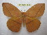  ( - BC-EvS 1445)  @14 [ ] Copyright (2010) Eric Van Schayck Research Collection of Eric Van Schayck