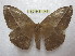  ( - BC-EvS 1449)  @14 [ ] Copyright (2010) Eric Van Schayck Research Collection of Eric Van Schayck